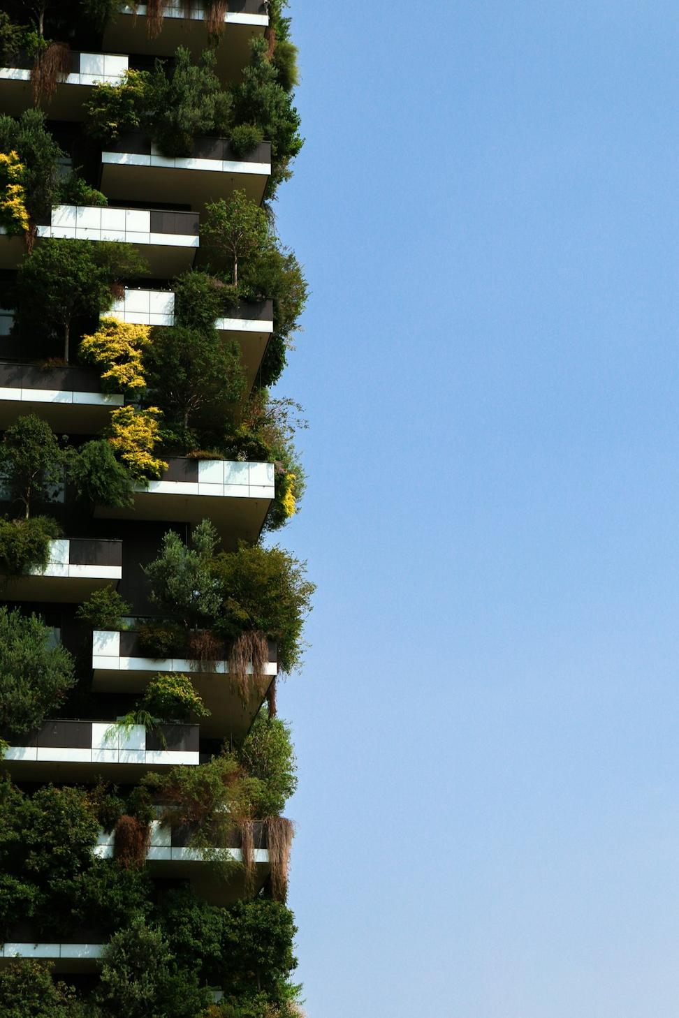 Sustainable Urban Development