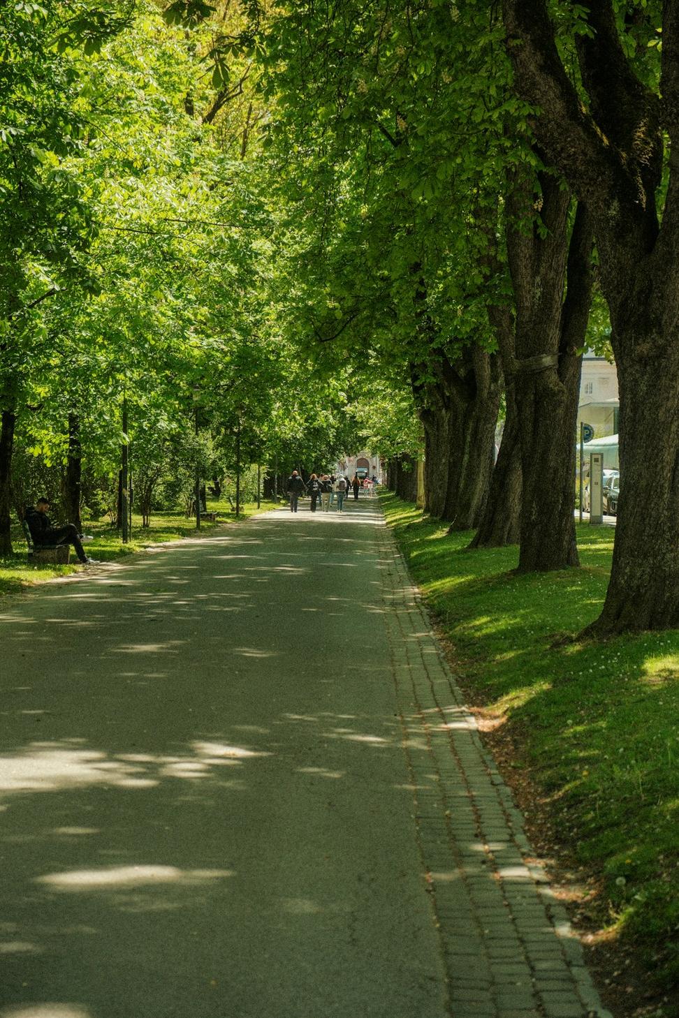 Green corridor